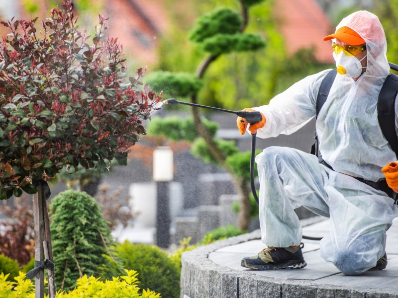 Talas Haşere İlaçlama